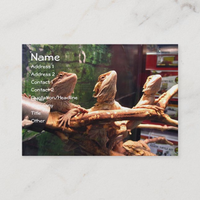 Leezerds Business Cards (Front)