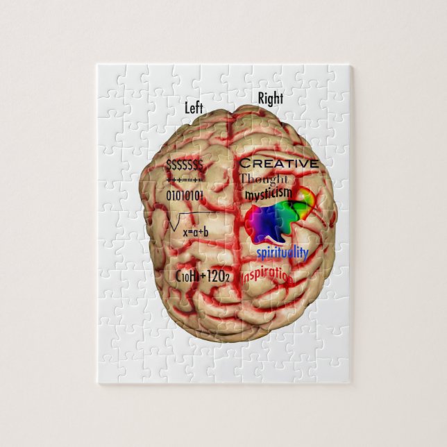 Left and Right Side of Brain Jigsaw Puzzle (Vertical)