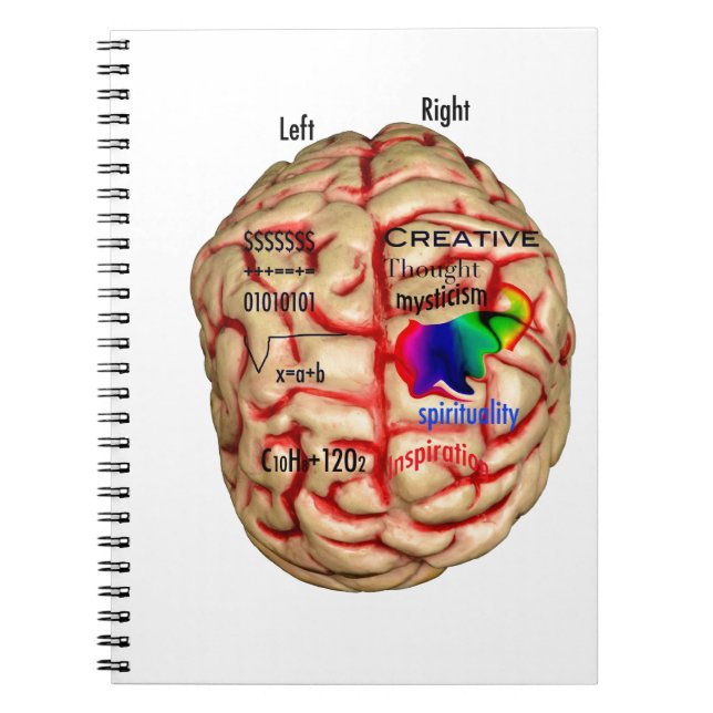 Left and Right Side of Brain Notebook (Front)