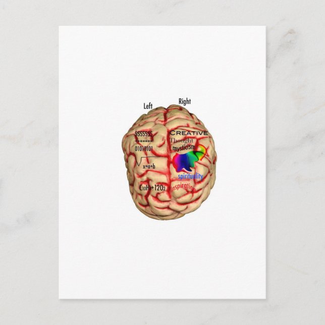 Left and Right Side of Brain Postcard (Front)
