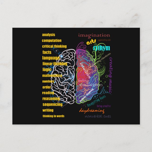 Left Brain Right Brain Hemispheres Postcard (Front)