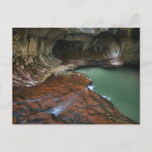Left Fork   Zion National Park, Utah Postcard