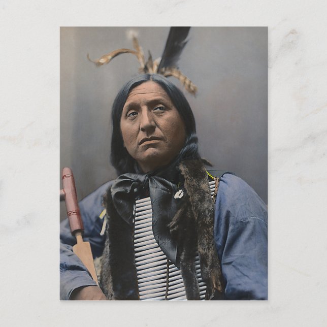 Left Hand Bear Postcard (Front)