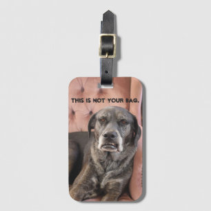 Lefty Luggage Tag