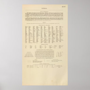 Legend 16667 Australia Poster