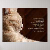 Legend of the Sphynx