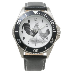 Leghorns Production Brown Chickens Watch