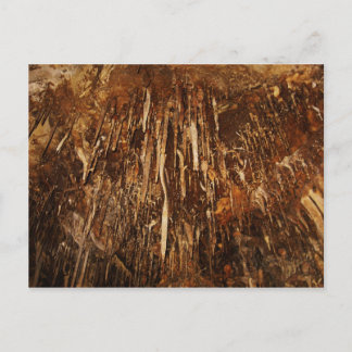 Lehman Cave Postcard