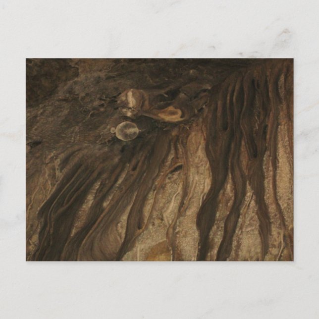 Lehman Caves Postcard (Front)