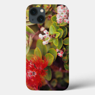 Lehua Blossoms In Hawaii Volcanoes iPhone 13 Case