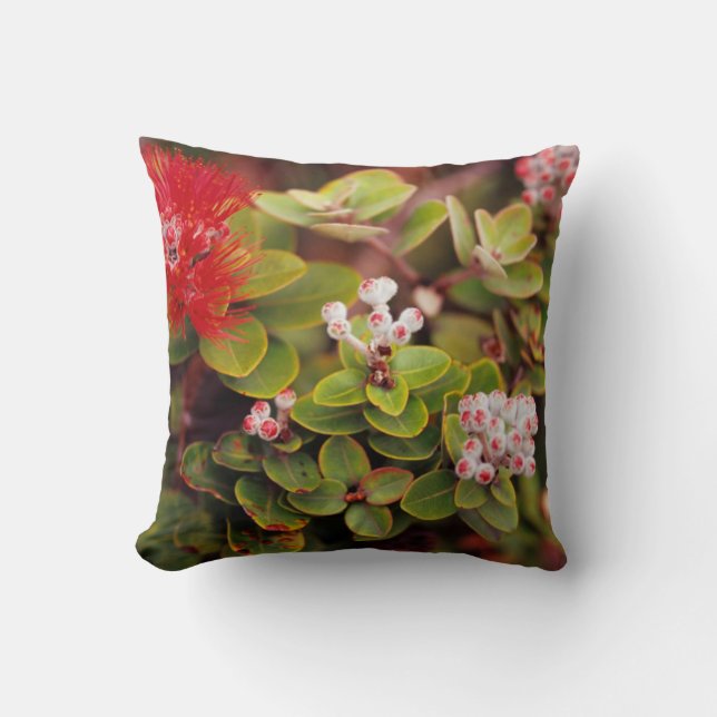 Lehua Blossoms In Hawaii Volcanoes Cushion (Front)