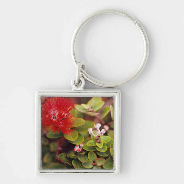 Lehua Blossoms In Hawaii Volcanoes Key Ring (Front)