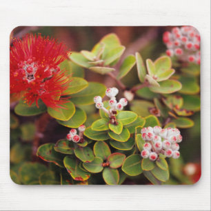 Lehua Blossoms In Hawaii Volcanoes Mouse Mat