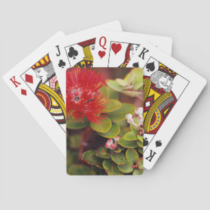 Lehua Blossoms In Hawaii Volcanoes Playing Cards