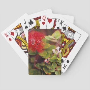Lehua Blossoms In Hawaii Volcanoes Playing Cards