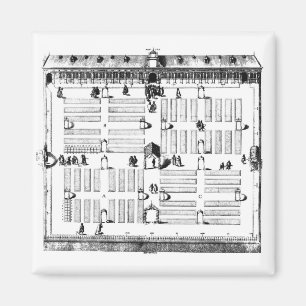 Leiden Botanic Garden (engraving) (b/w photo) Magnet