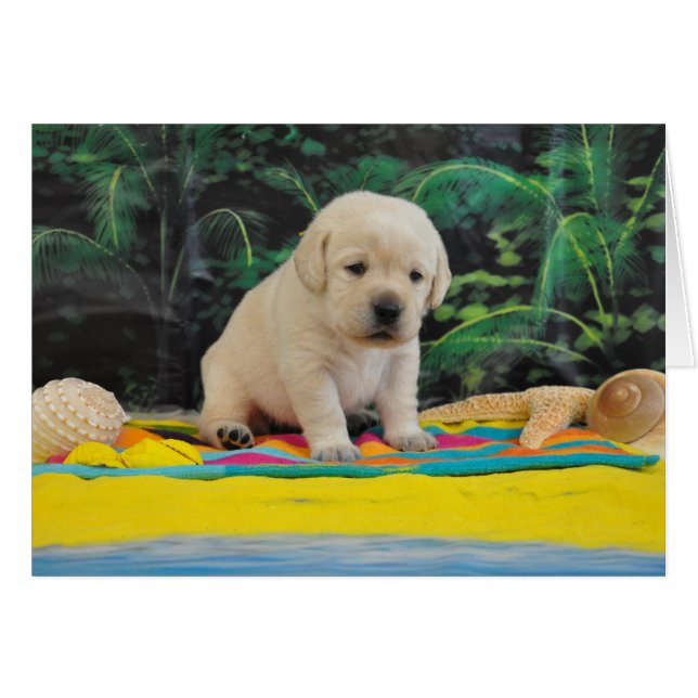 Leigh Ann week 2 (Front Horizontal)