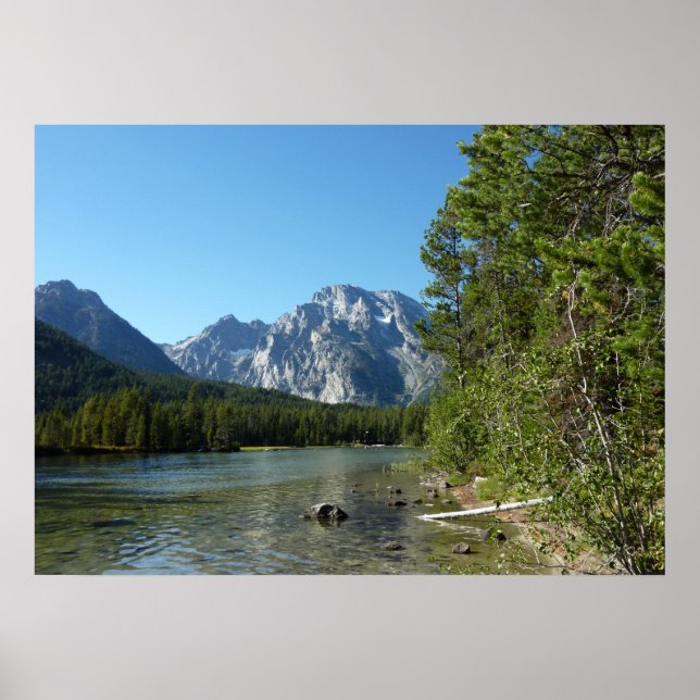 Leigh Lake at Grand Teton National Park Poster (Front)