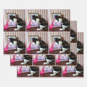 Leilani's Wardrobe - All Occasion Wrapping Paper Sheet