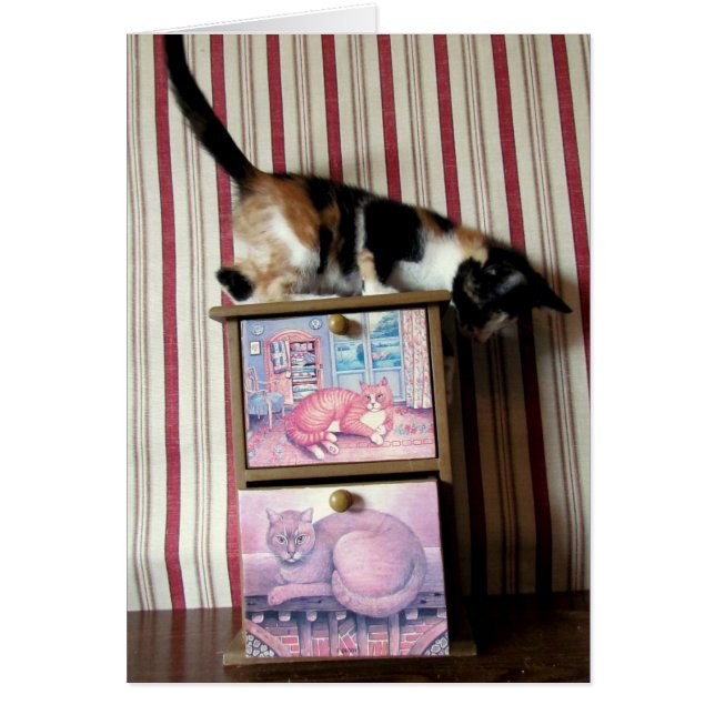 Leilani's Wardrobe Series - Card 1 (Front)