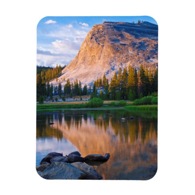 Lembert Dome scenic, California Magnet (Vertical)