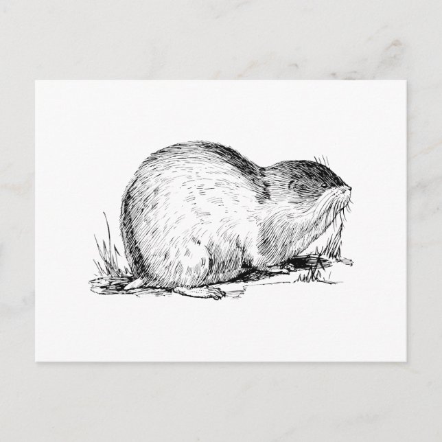 Lemming Postcard (Front)