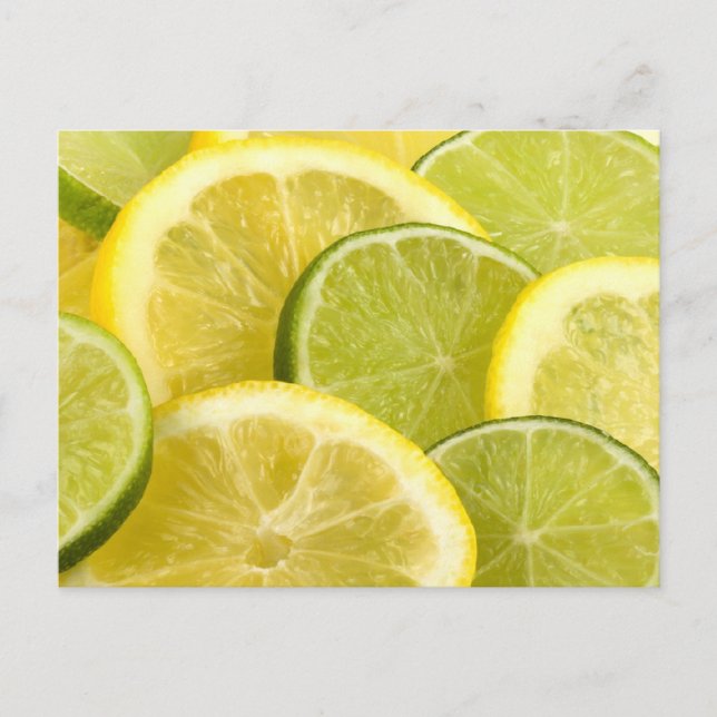 Lemon and Lime Slices Postcard (Front)