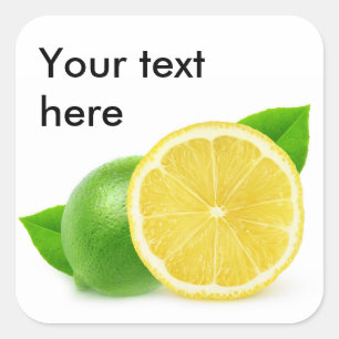 Lemon and lime square sticker