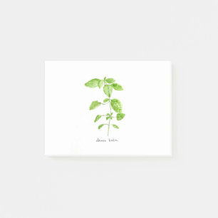 Lemon balm herb watercolor garden green post-it notes