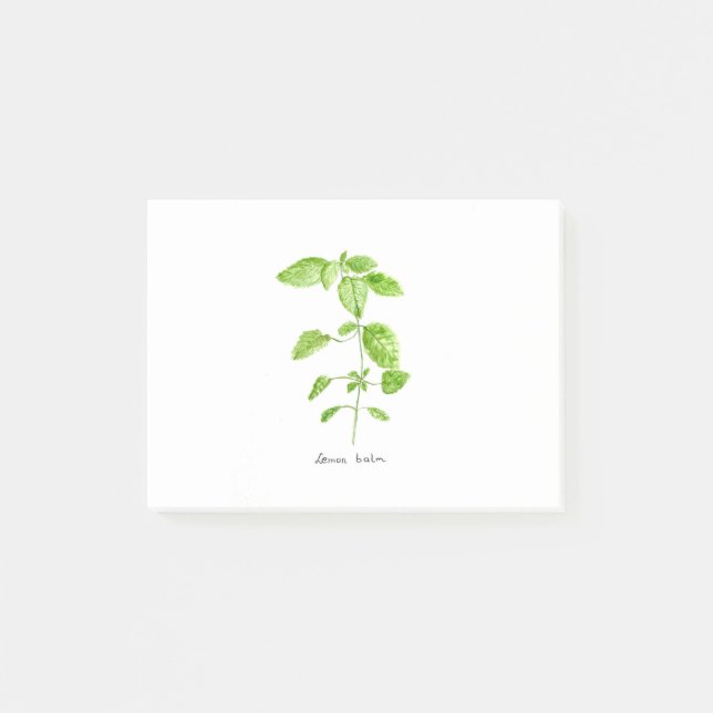 Lemon balm herb watercolor garden green post-it notes (Front)
