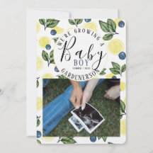 Lemon Blueberry Boy Pregnancy Announcement 