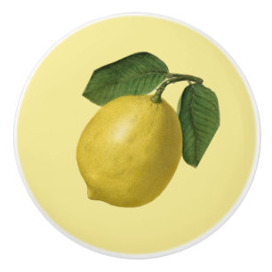 Lemon ~ Botanical Fruit ~ Any Background Colour ~ Ceramic Knob