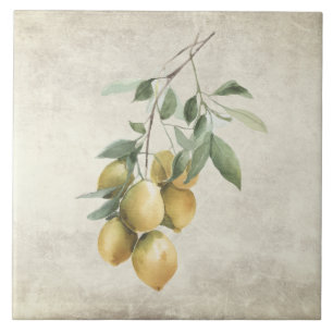 Lemon Branch Mediterrean Watercolors Rustic Tile