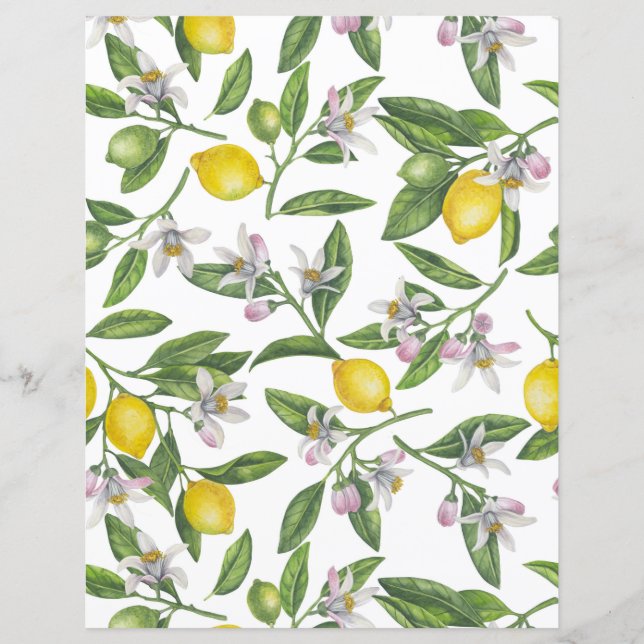 Lemon branches with blossoms and fruit on white (Front)