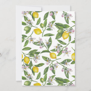 Lemon branches with blossoms and fruit on white