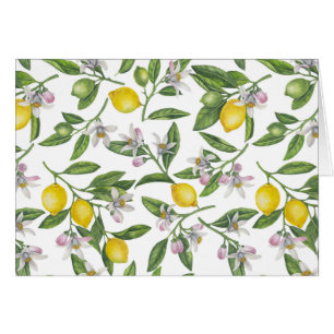 Lemon branches with blossoms and fruit on white