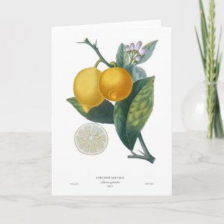Lemon Card