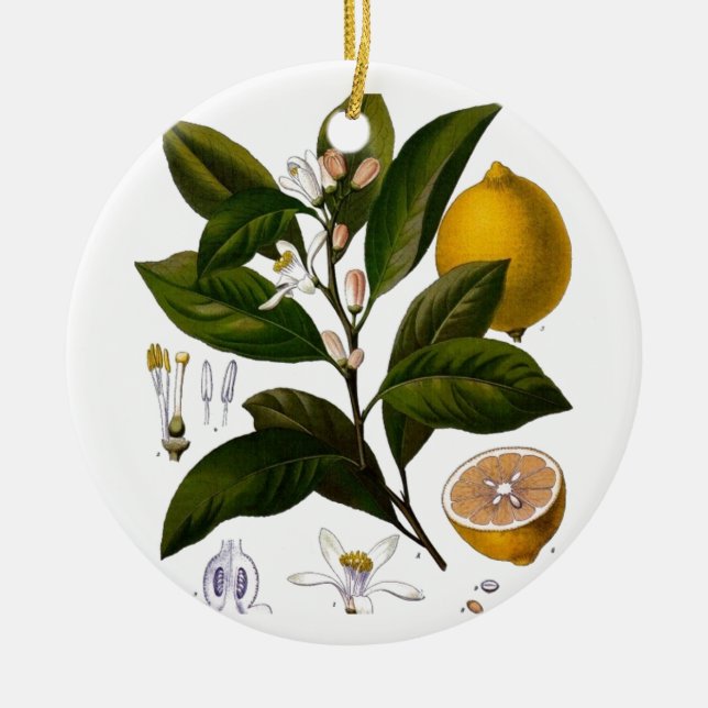 Lemon Ceramic Tree Decoration (Front)