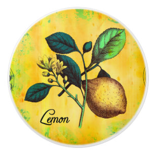 Lemon Fruit Flowers Leaves Vintage Botanical Ceramic Knob