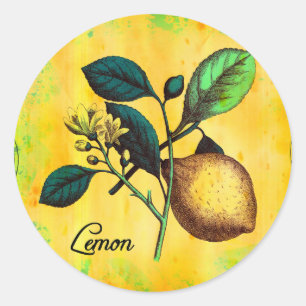 Lemon Fruit Flowers Leaves Vintage Botanical Classic Round Sticker