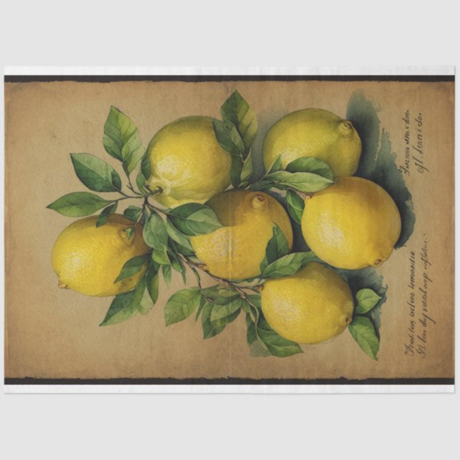 Lemon Fruit Illustration Ephemera No1 Tissue Paper (Front)