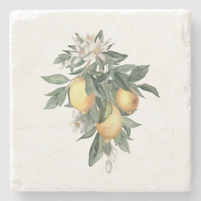 Lemon Fruit Marble Stone Coaster (Front)