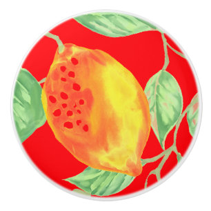 Lemon fruit pattern yellow red green ceramic knob