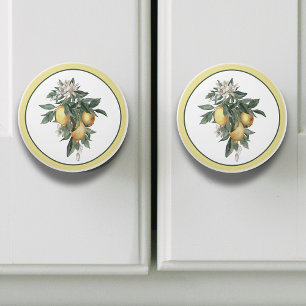 Lemon Fruit Round  Ceramic Knob