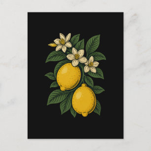 Lemon Fruit Vintage Art Lemon Farm Holiday Postcard