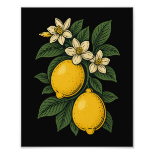 Lemon Fruit Vintage Art Lemon Farm Photo Print