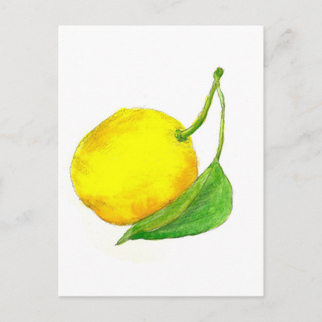 Lemon Fruit Watercolor Art Painting Yellow Citrus Postcard (Front)