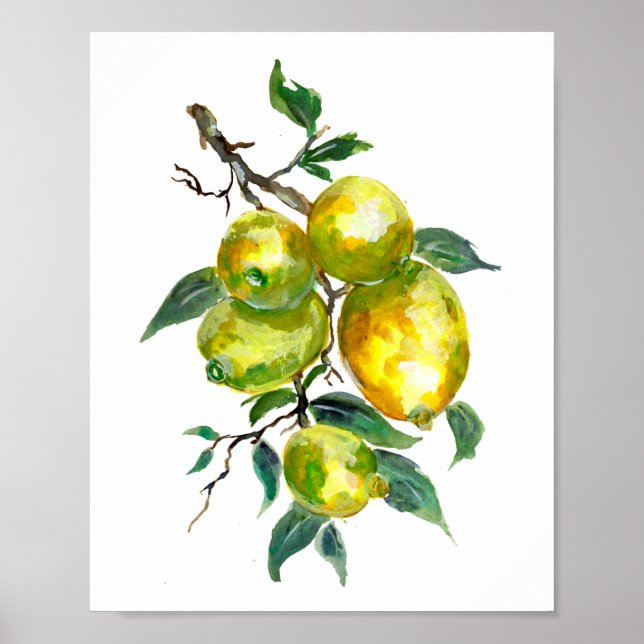 Lemon Fruits Hanging from a Tree Branch Poster (Front)