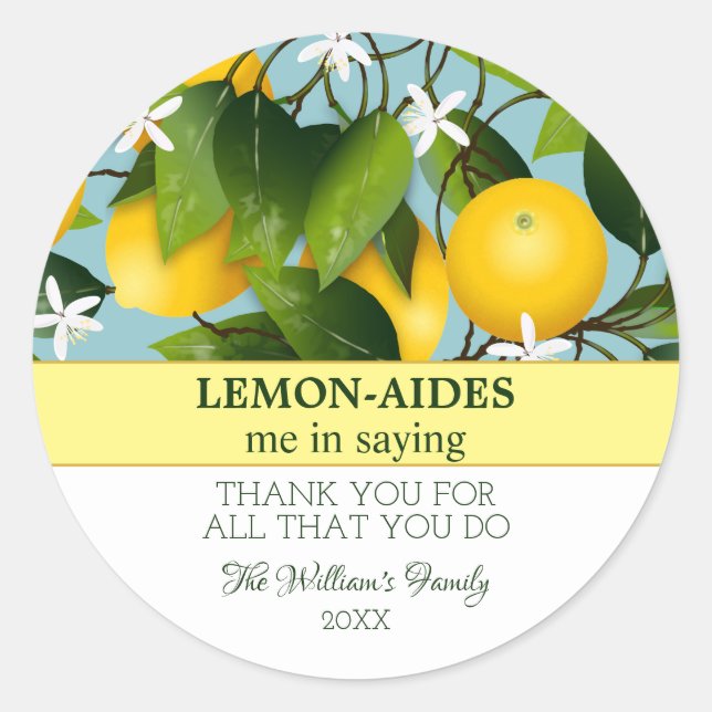 Lemon Funny Thank You Classic Round Sticker (Front)