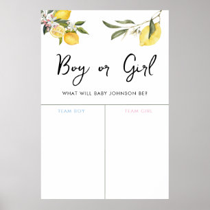 Lemon Garden Girl or Boy Baby Gender Voting Sign